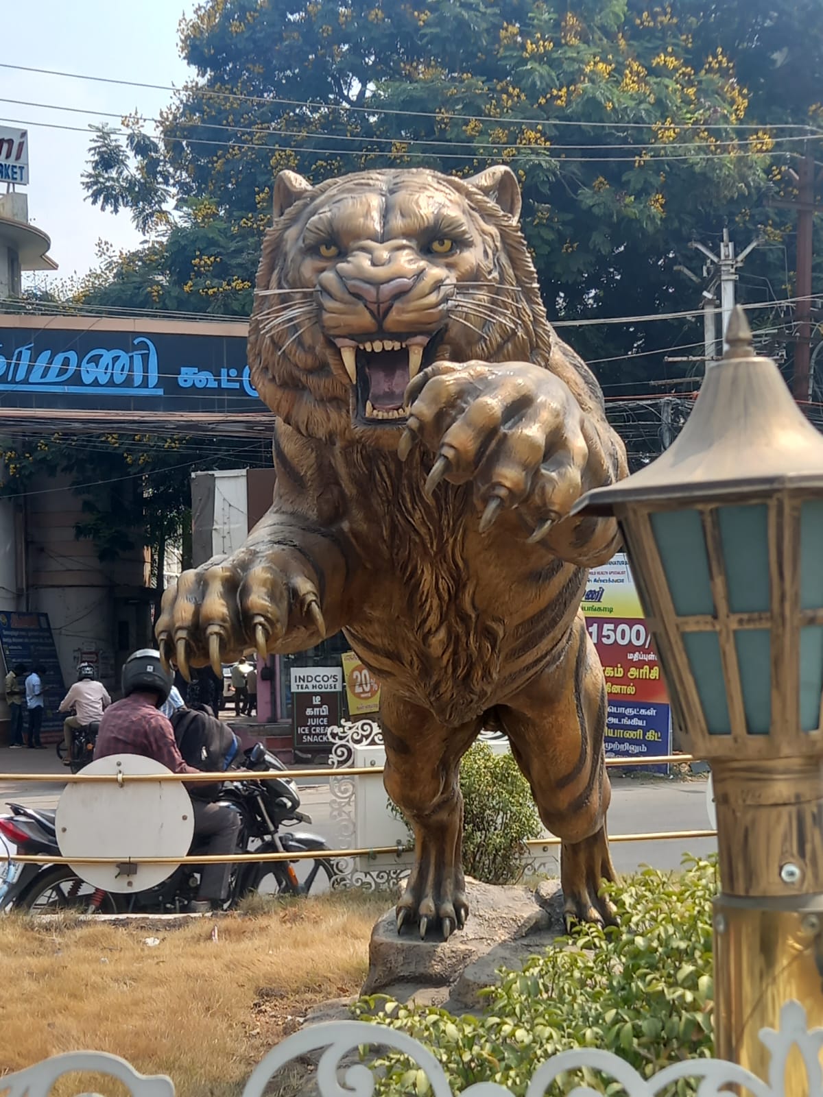 " *கோவையில் பாயும் புலி, உள்ளூர் வாசிகள் கிலி* "    ஒரு வித்தியாசமான  அறிவுப் பூர்வமான  சிந்தனைக்கு.