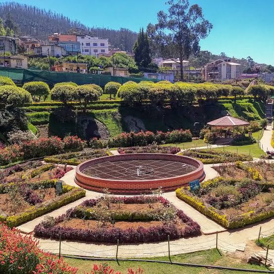 உதகையில் அழகான கால நிலை..அழகு அழகாய்  ரோஜா மலர்கள்.  ஊட்டி ரோஜாப் பூங்கா....சொர்க்கமயமாக